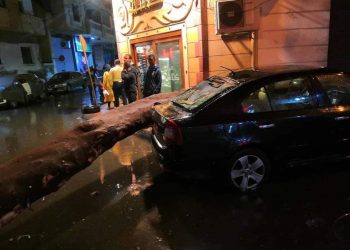 سقوط شجرة بمنطقة "فلمنج" فى الإسكندرية نتيجة الطقس السىء (صور) 3