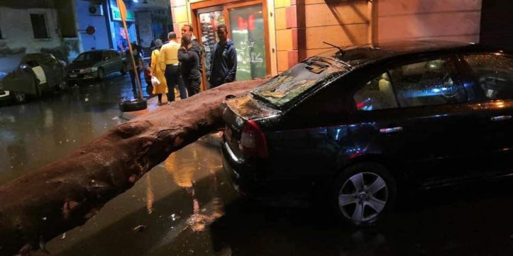 سقوط شجرة بمنطقة "فلمنج" فى الإسكندرية نتيجة الطقس السىء (صور) 1