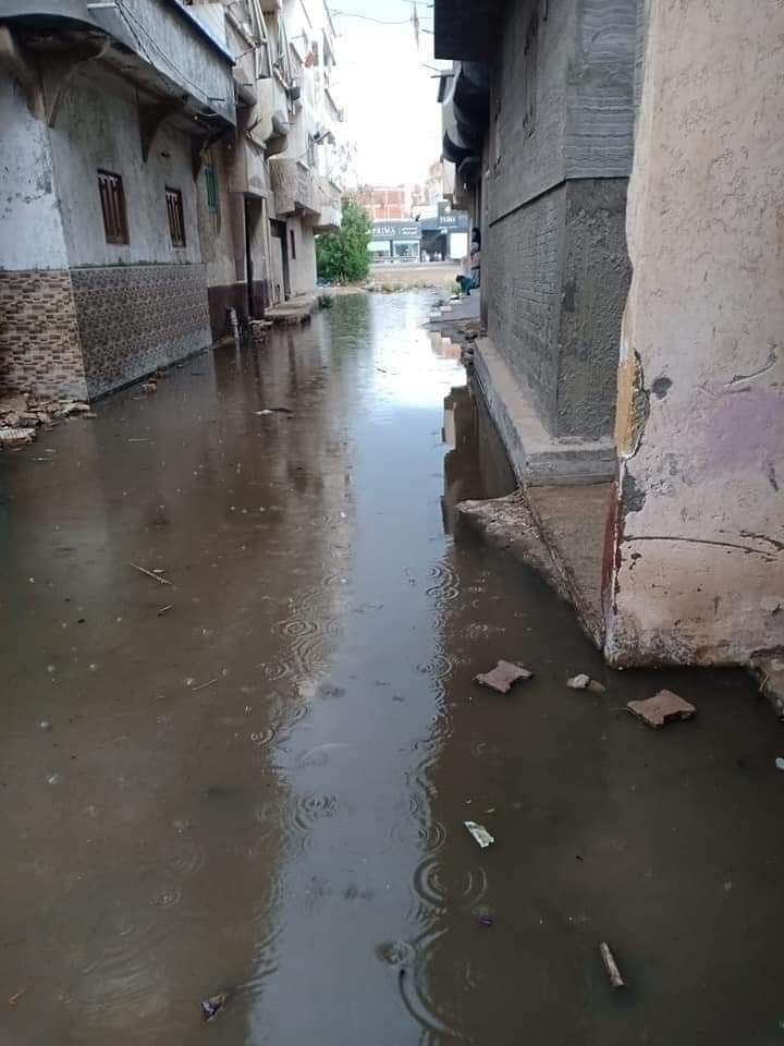 الأمطار في الإسكندرية 