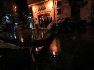 سقوط شجرة بمنطقة "فلمنج" فى الإسكندرية نتيجة الطقس السىء (صور) 4
