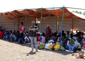 اليونيسف قلق بشأن سلامة الأطفال فى إقليم تيغراي في إثيوبيا 2