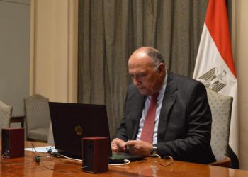 وزير الخارجية المصري - سامح شكري