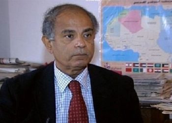 حسين هريدي: العلاقات الفرنسية المصرية فريدة من نوعها وفاقت التوقعات 2