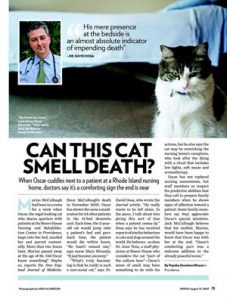 القط الطبيب توقع وفاة المئات .."أوسكار" ينجح في تشخيص المرضى ويزور الحالات قبل وفاتها بساعات ..والأطباء: لديهم قدرات خارقة ويستشعروا رائحة الموت 1
