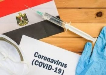 رئيس لجنة مواجهة كورونا: ارتفاع كبير في إصابات الفيروس.. فيديو 1