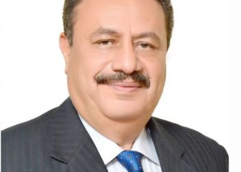 رضا عبد القادر - رئيس مصلحة الضرائب المصرية
