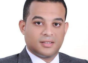 محمد محمود الباحث الاقتصادي