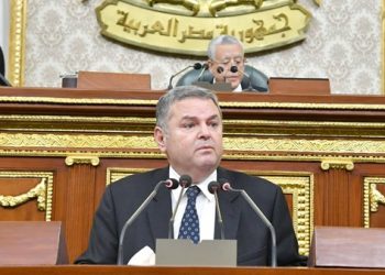 برلماني: وزارة قطاع الأعمال لا محل لها من الإعراب ولازم تقدم كشف حساب للمصريين