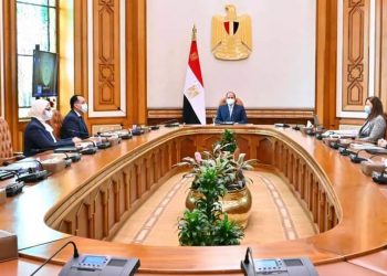 الرئيس السيسي يطلع على مخطط "المشروع القومي لتنمية الأسرة المصرية" 3