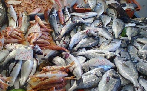« بقصد الغش والتدليس » ضبط 2.2 طن أسماك مدخنة ولحوم فاسدة بـ القاهرة
