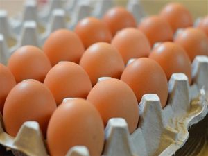 أسعار البيض اليوم 10-4-2021 1