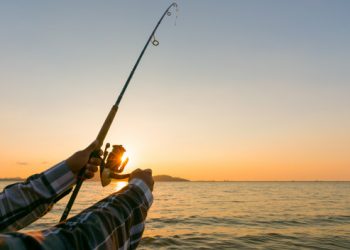 تفسير حلم الصيد في المنام