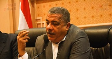 رئيس لجنة الصناعة بالبرلمان المصري