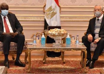 رئيس مجلس النواب: مصر بقيادة السيسي حريصة على أمن واستقرار إفريقيا 1