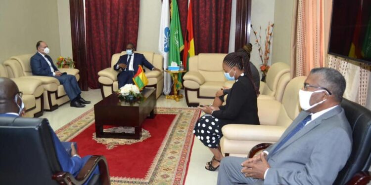 السفير المصري في كوناكري يلتقي برئيس جمهورية غينيا بيساو