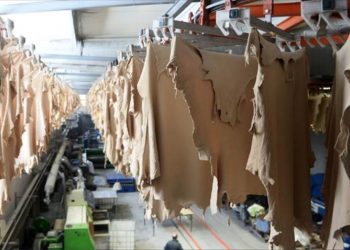 صناعة الجلود: مصانع الأحذية والمنتجات الجلدية تعمل بـ 20% من طاقتها 2