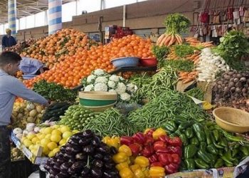 تراجع اسعار الخضروات.. والتجار لـ «اوان مصر»: ارتفاع الاسعار خلال الفترة المقبلة 4