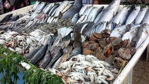 أسعار الأسماك اليوم السبت 30 سبتمبر 2023 في الأسواق 4