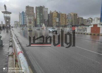 ميناء الإسكندرية يرفع درجة الاستعدادات لسوء الطقس بعد ارتفاع الأمواج 7