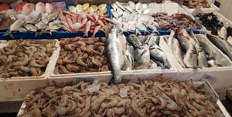 اسعار السمك فى سوق العبور اليوم