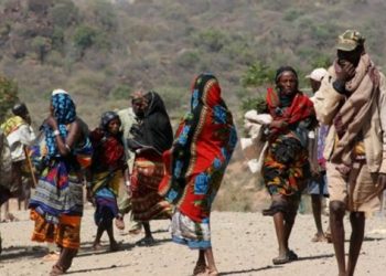 ارتفاع عدد اللاجئين الاثيوبيين في السودان إلى نحو 67 ألفا 1