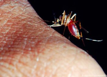 مفاجأة علمية.. «المغناطيس» أفضل وسائل تشخيص الملاريا 3