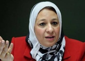 نائب محافظ القاهرة: لقاءات مكثفة مع النواب خلال الفترة القادمة لحل مشكلات المواطنين 1