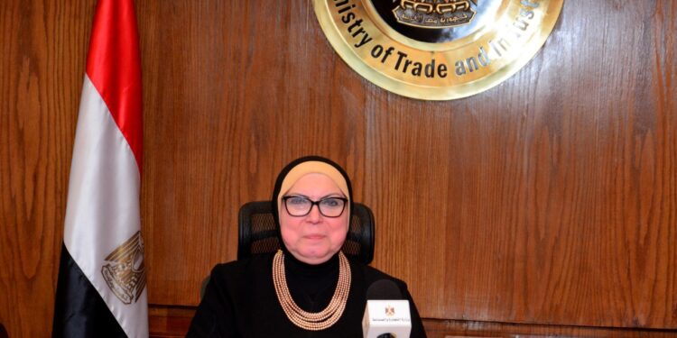 نيفين جامع، وزيرة التجارة والصناعة