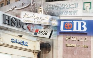 البنوك المصرية 