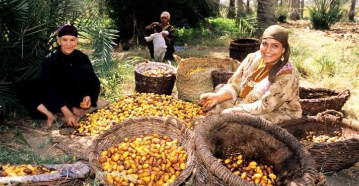 المرأة الريفية العاملة في مصر