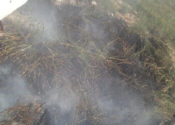 حريق في حشائق خلف المساكن الشعبية بدار السلام