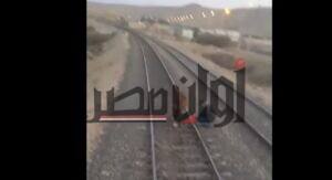 حمار يوقف قطار على السكة الحديد