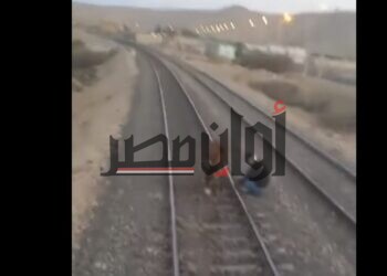 حمار يوقف قطار على السكة الحديد