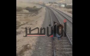 حمار يوقف القطار.. شاهد ماذا يحدث على شريط السكة الحديد (فيديو) 1