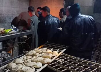 ضبط مدير مخبز استولى على أموال دعم بالقاهرة 1