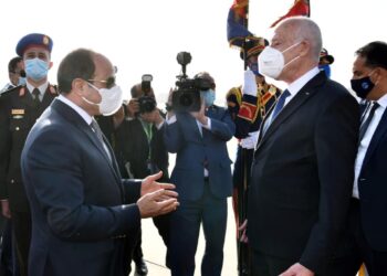 السيسي يودع ضيفه الرئيس التونسي