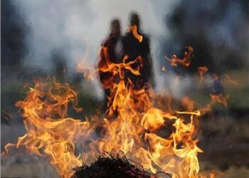 خلاف على ملكية المقبرة.. حبس المتهم بحرق جثة موظفة بعد وفاتها بكورونا في حلوان 1