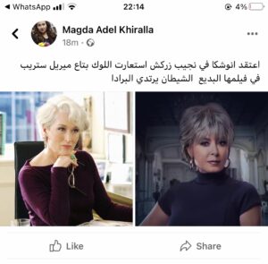 ماجدة خيرالله عن دور انوشكا في نجيب زركش: استعارت لوك ميريل ستريب 2