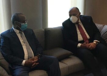 وزير الخارجية يصل إلى نيامي فى إطار جولته الأفريقية