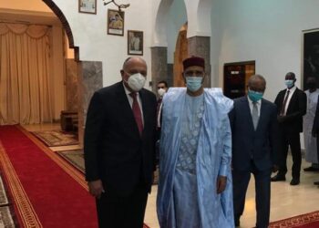 وزير الخارجية يلتقي برئيس النيجر حاملاً رسالة من الرئيس السيسي 1