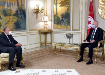 وزير الخارجية يُسلم الرئيس التونسي رسالة من السيسي 3