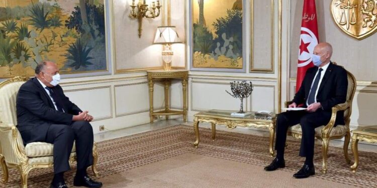 وزير الخارجية يُسلم الرئيس التونسي رسالة من السيسي 1