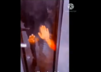 فيديو صادم.. شاهد صاحب مخبز يضع طفلًا بالفرن لتعذيبه في القليوبية 1