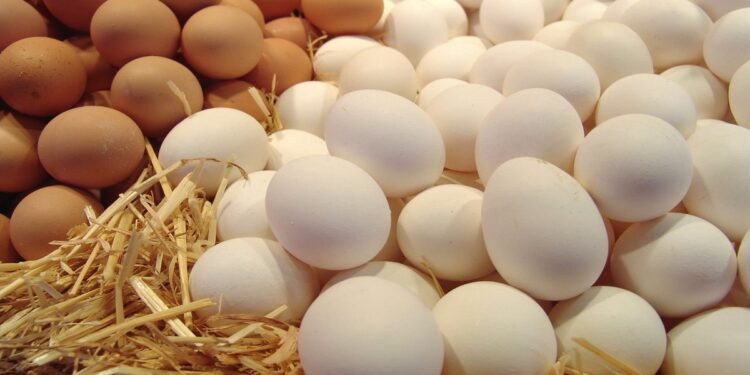 أسعار البيض اليوم 12-4-2021