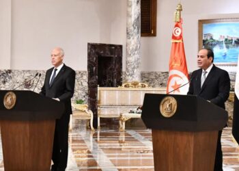 الرئيس السيسي ونظيره التونسي