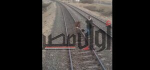حمار يوقف القطار.. شاهد ماذا يحدث على شريط السكة الحديد (فيديو) 2