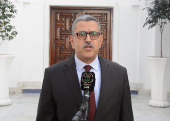 رئيس الوزراء الجزائري يقرر تكثيف حملة التلقيح ضد الكورونا في كافة الولايات 2