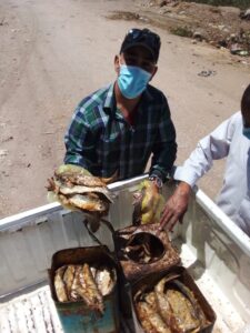 مديرية الصحة بسوهاج : ضبط وإعدام 77 كيلو أغذية متنوعة وأسماك مملحة ومدخنة غير صالحة للاستهلاك الآدمي 2