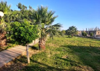 محافظ أسوان يتابع تنفيذ قرار غلق الحدائق والمتنزهات والشواطي في أيام عيد الفطر المبارك ضمن الاجراءات الاحترازية 6