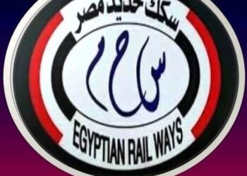 وقف حركة القطارات النازل طريق أسوان - القاهرة بسبب عطل في قطار (فيديو) 2